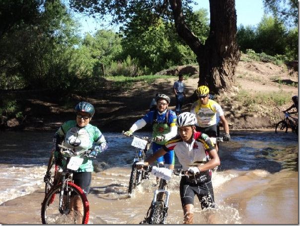 2012-08-27-estampida-bufalos (7)