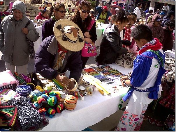 2012-12-16-feria-intercultural-indigena (12)
