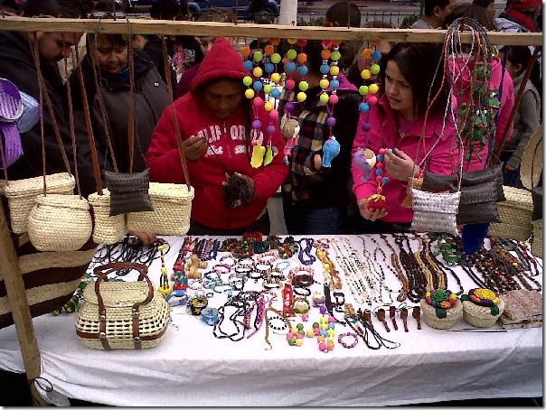 2012-12-16-feria-intercultural-indigena (34)