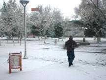 2013-01-04-nevada (4)