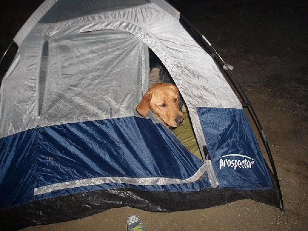 2013-01-08-follow-the-frontier-pancho (1)