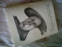 2013-03-22-revista-paso-13 (17)