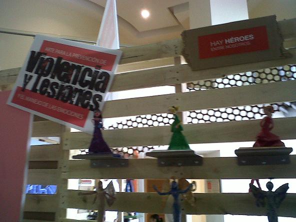 2013-04-09-paho (15)