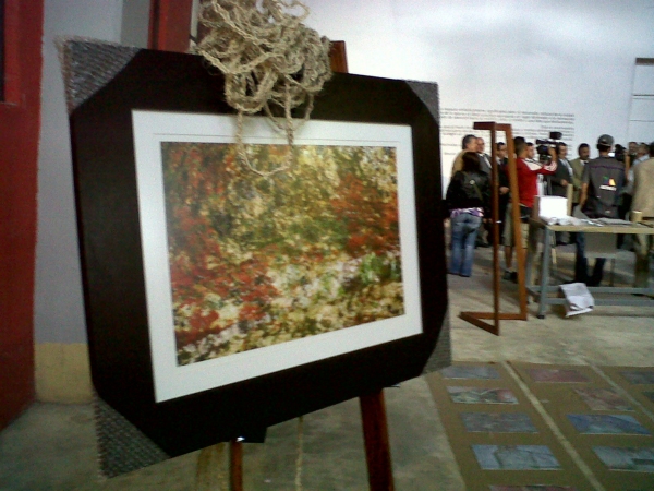 2013-05-11-plastica-102 (3)