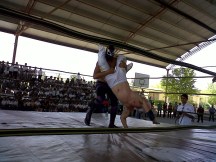 2013-05-22-luchando-futuro-iee (4)