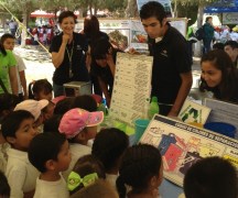 2013-05-31-feria-ecologica (1)