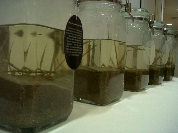 2013-06-01-iii-bienal-cd-ep (30)