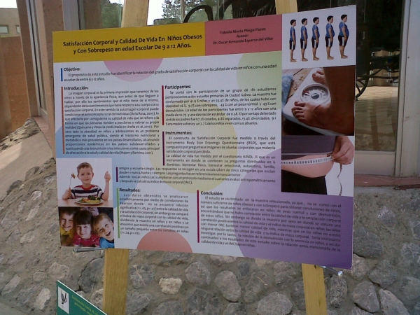 2013-exposicion-carteles-violencia (8)