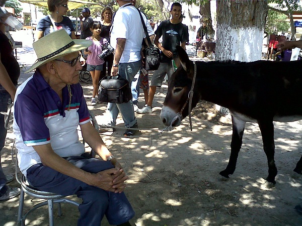 2013-06-23-burro-chon (3)