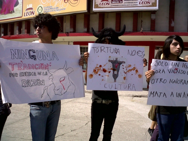 2013-06-30-antitaurinos (34)