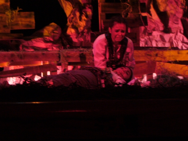 2013-07-17-tren-militar (5)