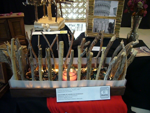 2013-11-30-expo-diseno-uacj (100)