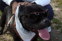 2014-01-19-marcha-maltrato-animal (1)