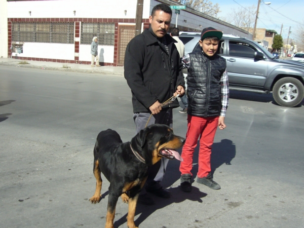 2014-01-19-marcha-maltrato-animal (13)