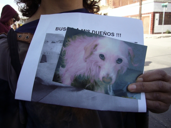 2014-01-19-marcha-maltrato-animal (18)