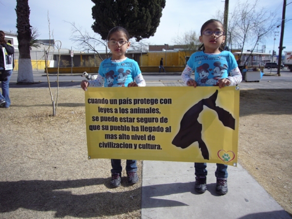 2014-01-19-marcha-maltrato-animal (2)