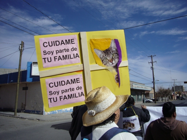 2014-01-19-marcha-maltrato-animal (23)