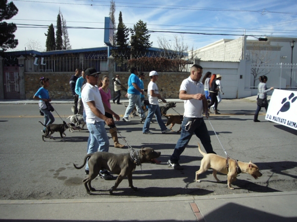 2014-01-19-marcha-maltrato-animal (27)