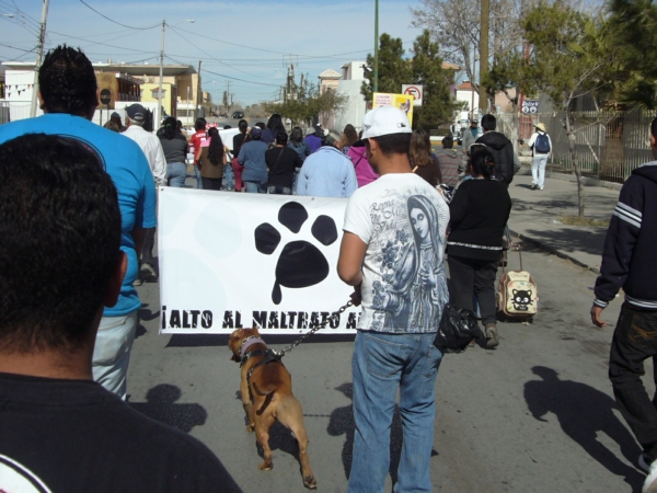 2014-01-19-marcha-maltrato-animal (28)