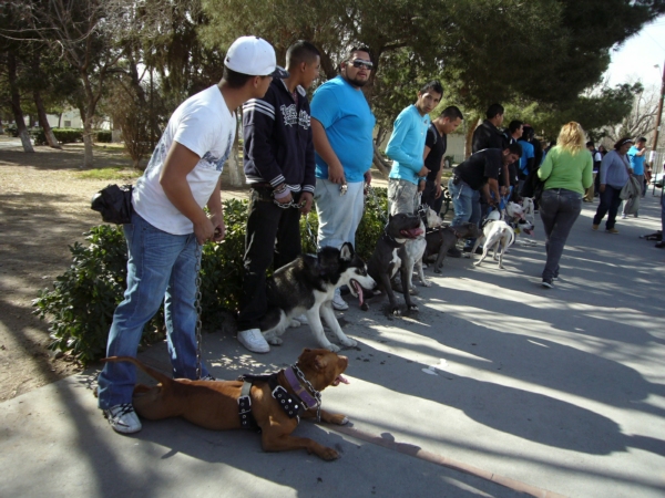 2014-01-19-marcha-maltrato-animal (30)