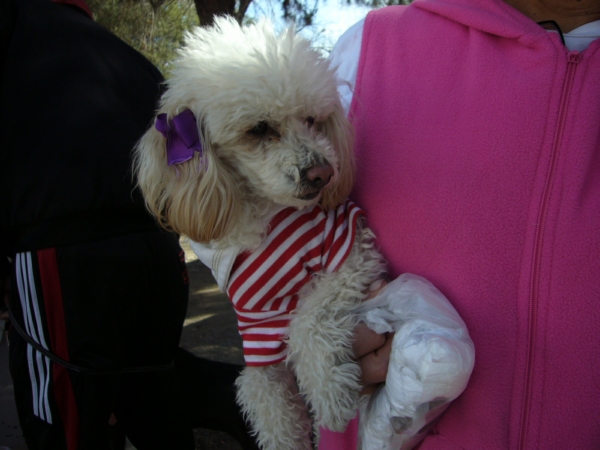 2014-01-19-marcha-maltrato-animal (31)