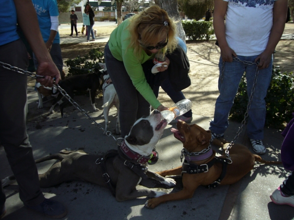 2014-01-19-marcha-maltrato-animal (32)