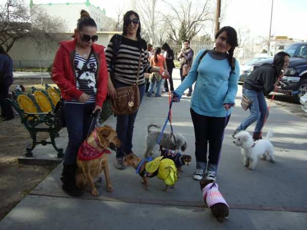 2014-01-19-marcha-maltrato-animal (37)