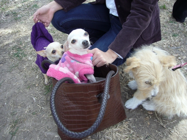 2014-01-19-marcha-maltrato-animal (47)