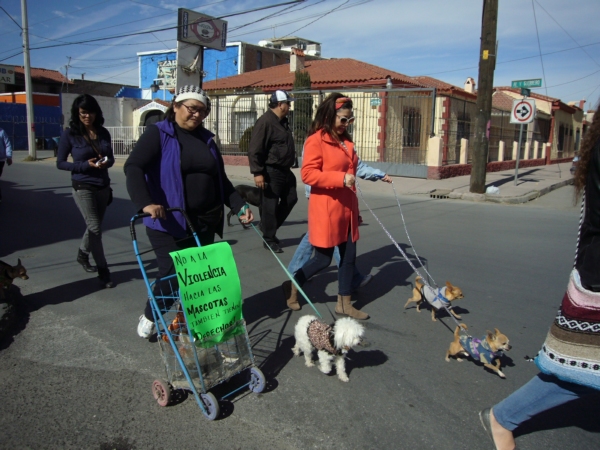 2014-01-19-marcha-maltrato-animal (5)