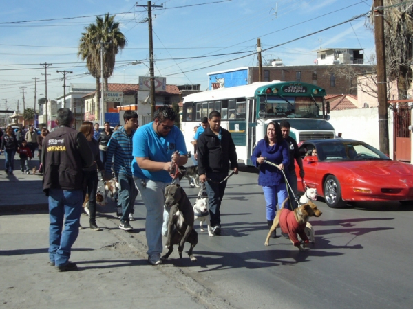 2014-01-19-marcha-maltrato-animal (6)