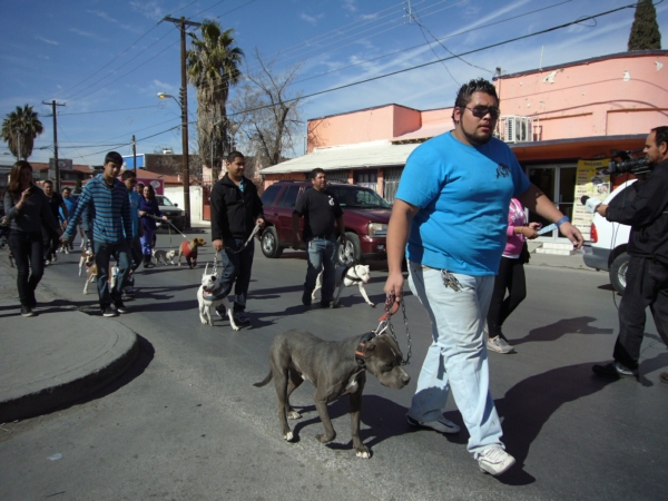 2014-01-19-marcha-maltrato-animal (7)