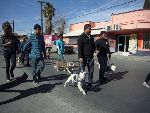 2014-01-19-marcha-maltrato-animal (8)