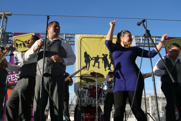 2014-01-25-vivamos-la-calle-fco-i-madero (1)