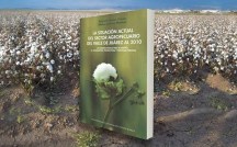 2014-03-17-libro-situacion-valle-juarez