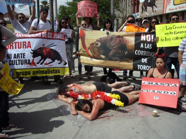 2014-04-07-antitaurinos-animalistas (1)