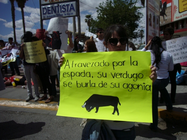 2014-04-07-antitaurinos-animalistas (11)