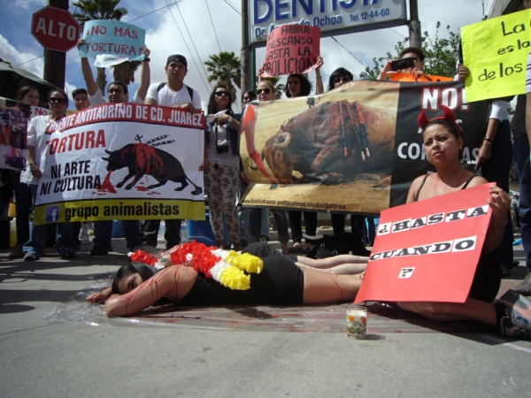 2014-04-07-antitaurinos-animalistas (3)
