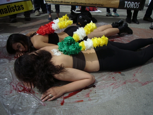 2014-04-07-antitaurinos-animalistas (35)