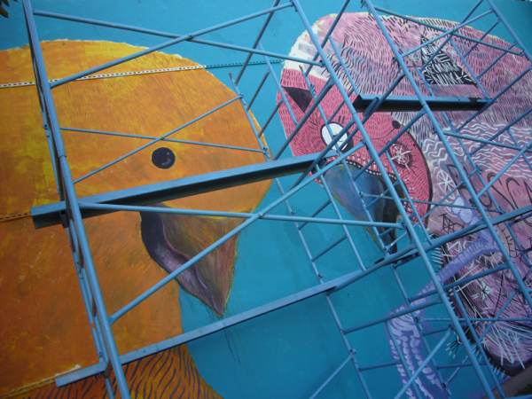 2014-05-07-jellyfish-iada (9)