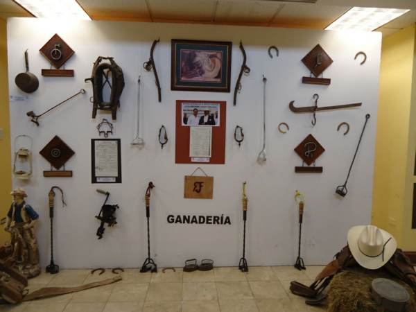 2014-06-19-identidad-chihuahuenses (9)