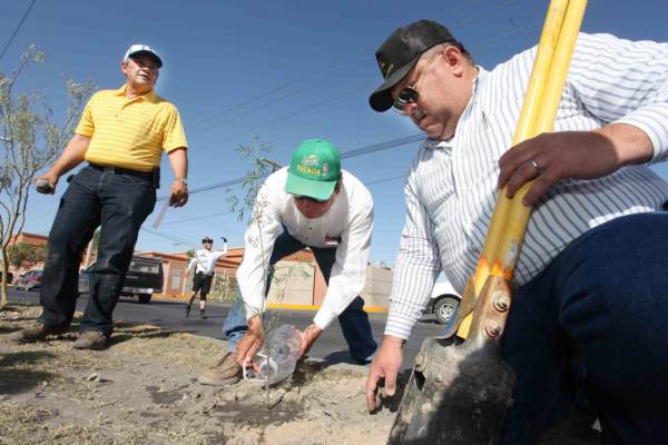 2014-06-01-ciclovia-reforestacion (2)
