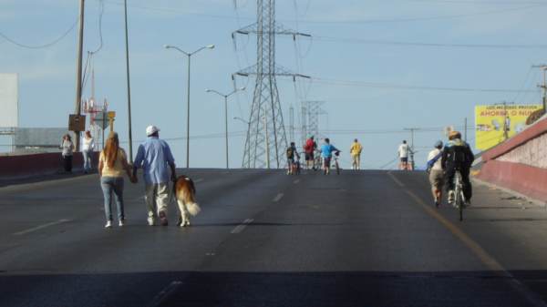2014-07-06-ciclovia-y-mascotas (2)