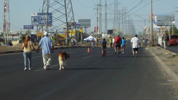 2014-07-06-ciclovia-y-mascotas (3)