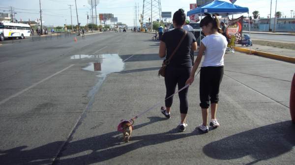 2014-07-06-ciclovia-y-mascotas (6)