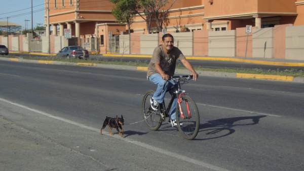2014-07-06-ciclovia-y-mascotas (7)