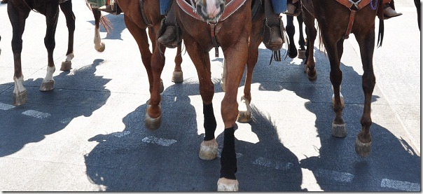 2014-07-05-cabalgata-villista (0)