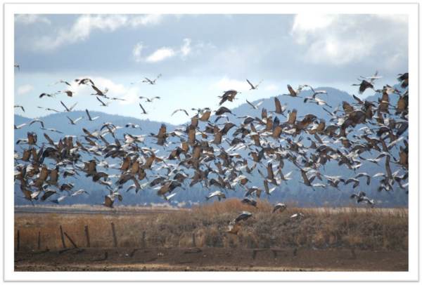 2014-09-04-madera-adventures (13)