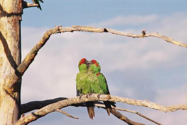 2014-09-04-madera-adventures (14)