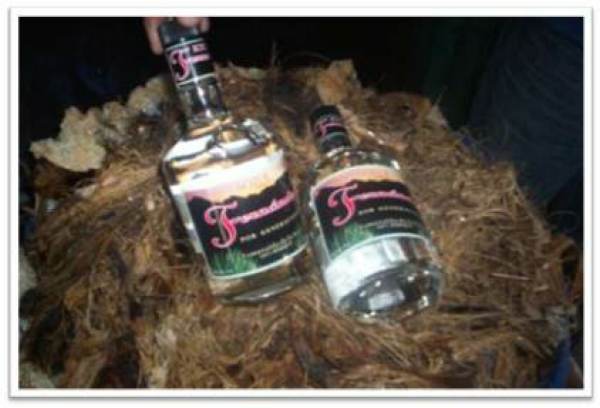 2014-09-04-madera-adventures (9)