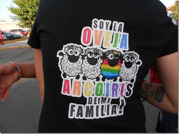 2015-06-21-xi-marcha-diversidades (8)